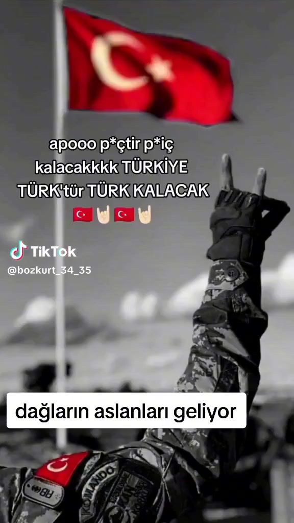 @Serdar Emre