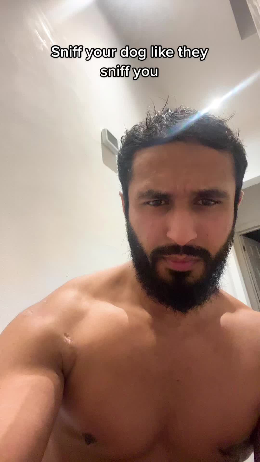 @Gorillahasan