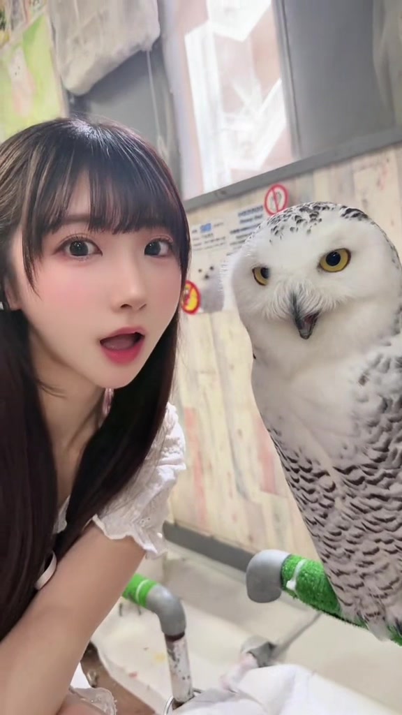 @ひなたあおあお!