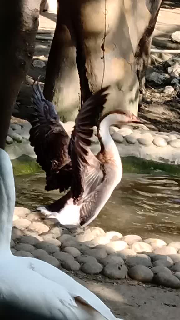 @Nidhi Bhatt