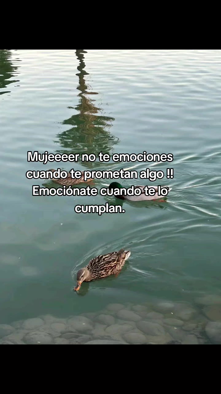 @ana contreras ❤️💋