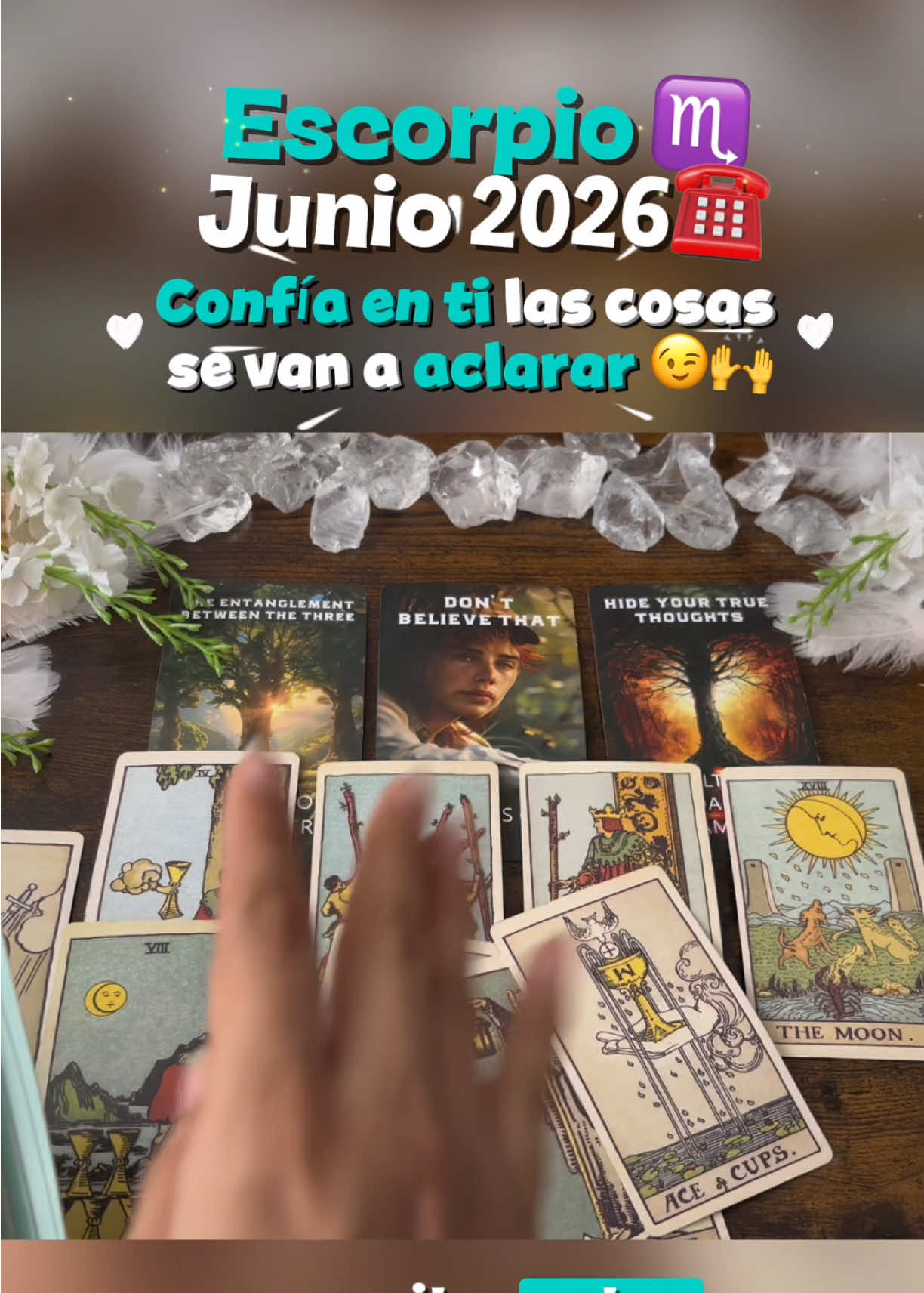 @Andy Sun Tarot ☀️