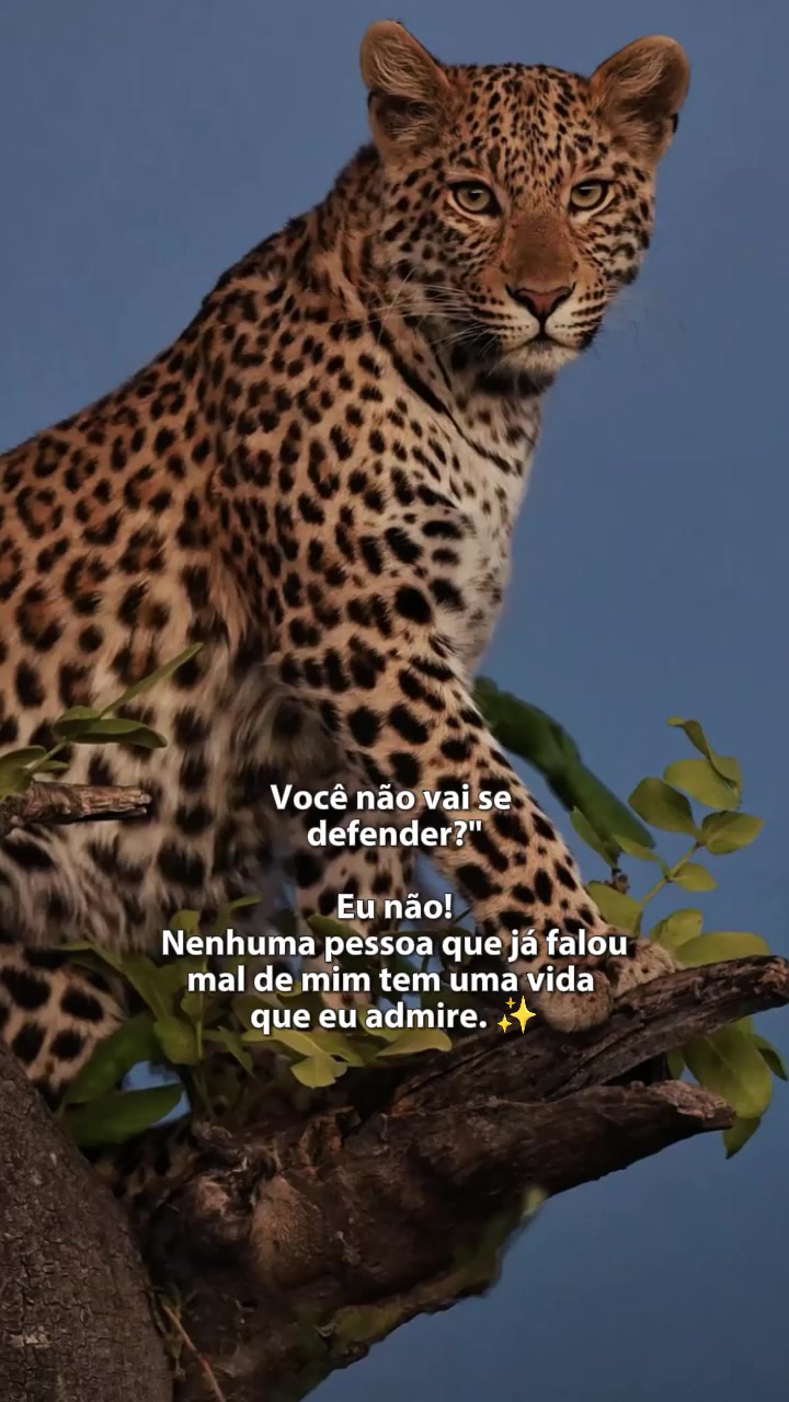 @𝙁𝙚𝙡𝙞𝙣𝙖.𝙈𝙚𝙣𝙩𝙚96🐆❤️