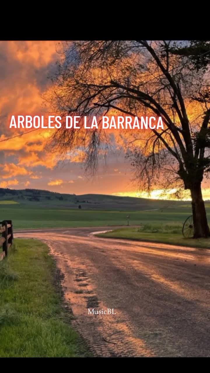@musicBL