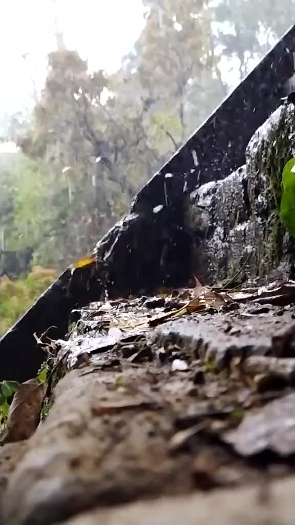 @๐ _ÑÓBÍ_๐