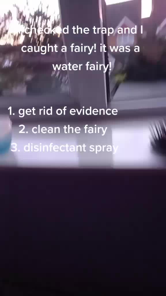 @Fairy Hunter