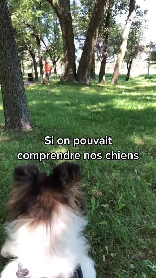 @J&eacute;r&eacute;mie Larouche