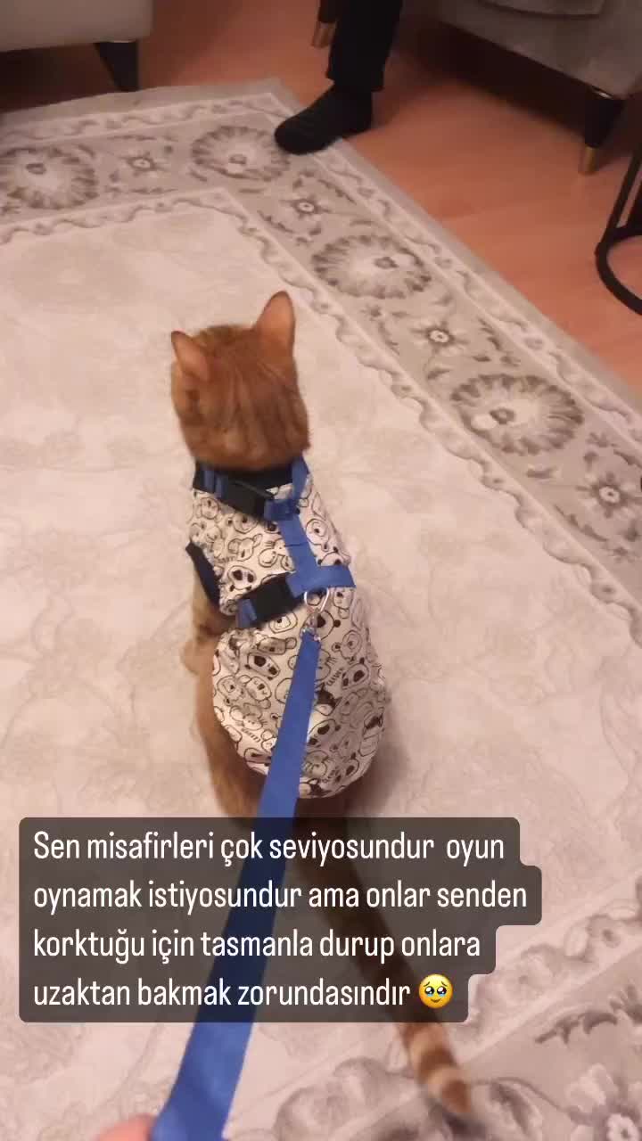 @Paşa Bebek