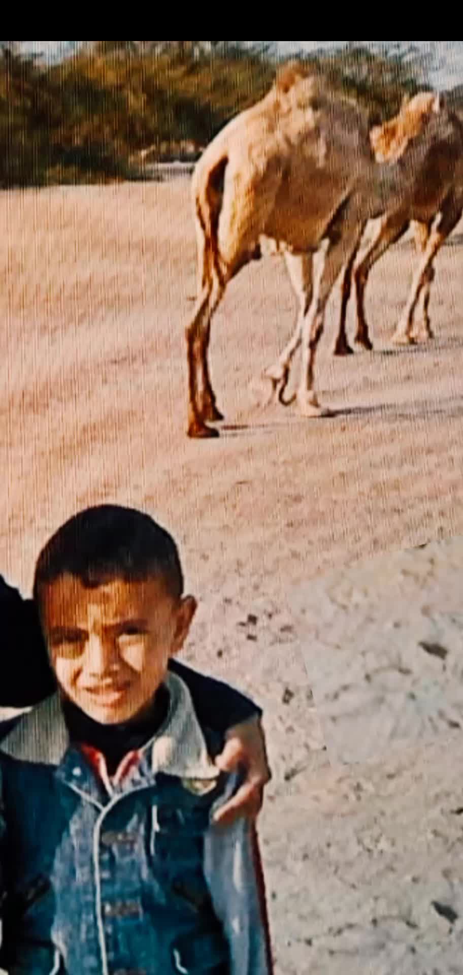@عمر الجوهري الحويطي🇯🇴🇸🇦