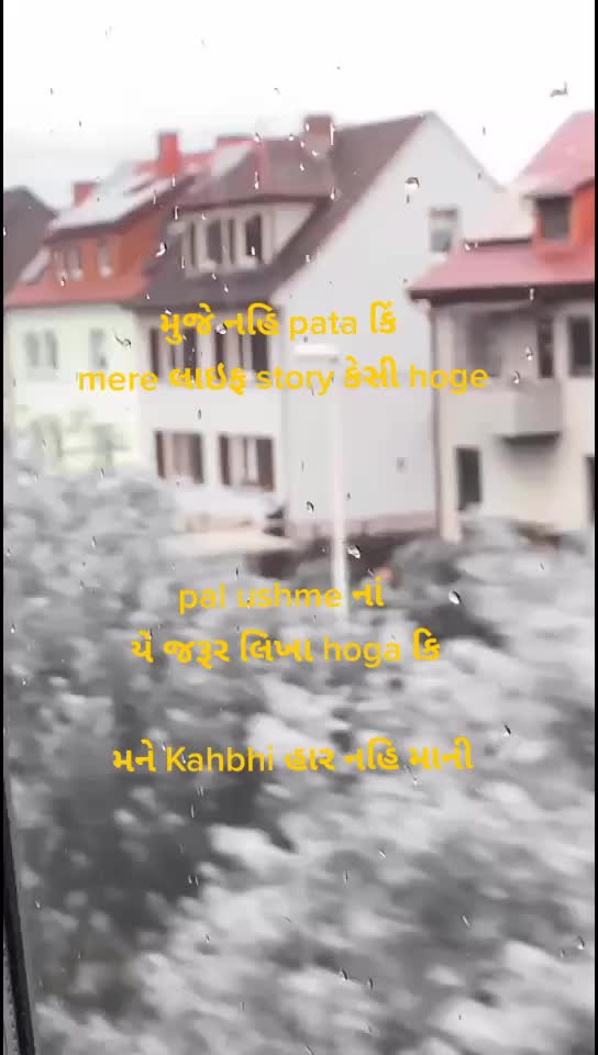 @dabhi is king