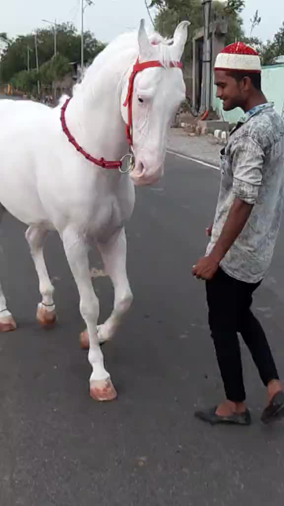 @user7708551981056