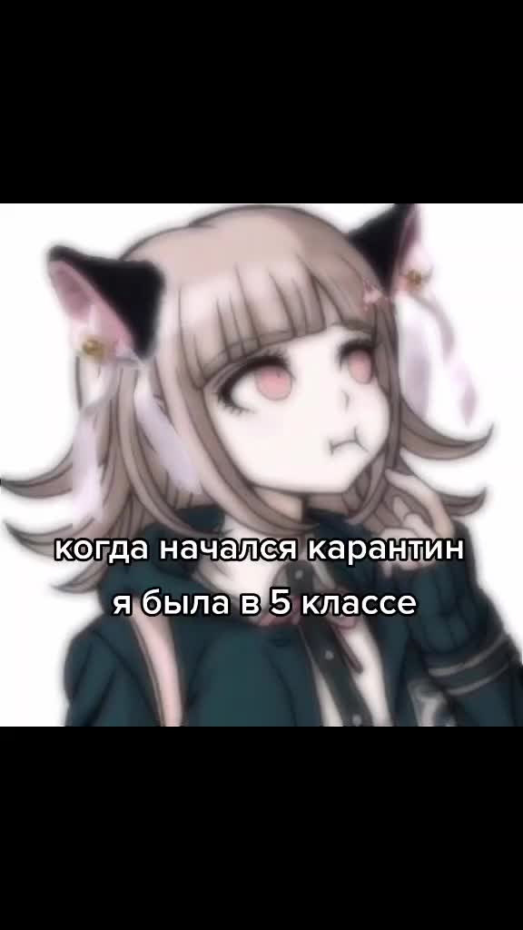 @quipopa
