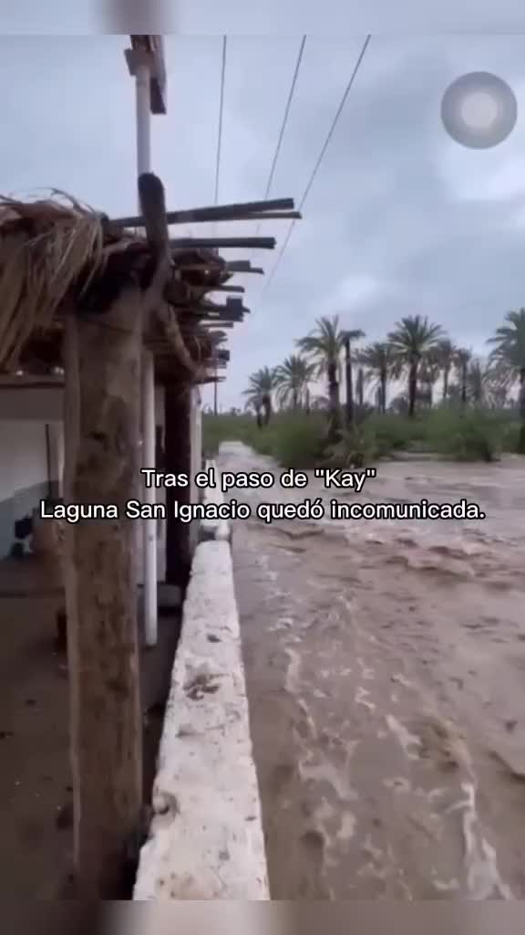 @Profe Víctor Castro