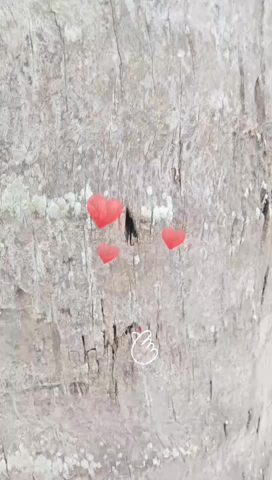 @ಭರತ್ ಗೌಡ್ರು