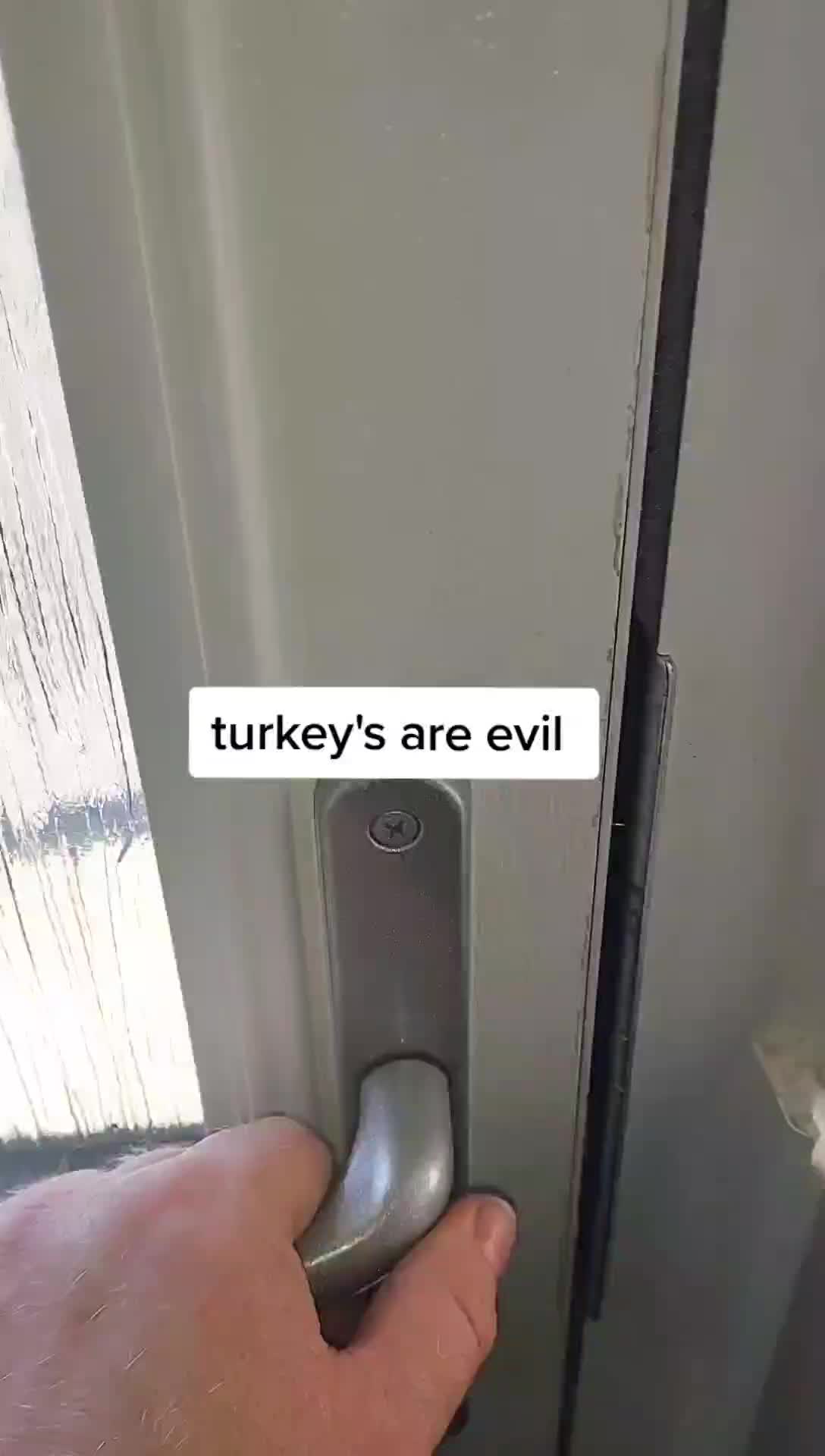 @horrorsquad666