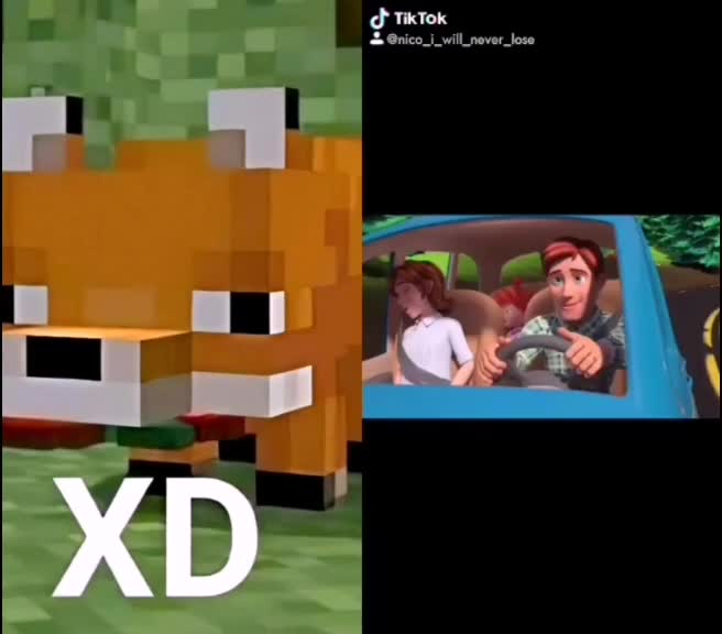 @Zorrito xd 🦊