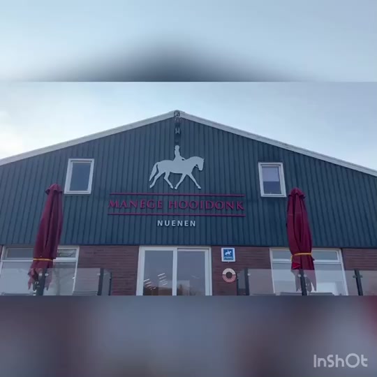 @T.P16