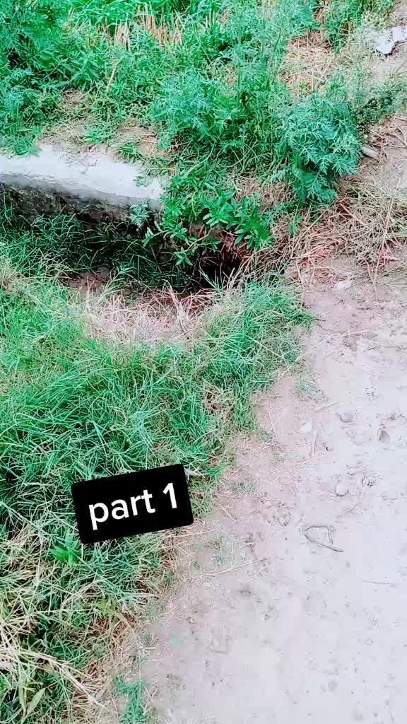 @Rk batoye