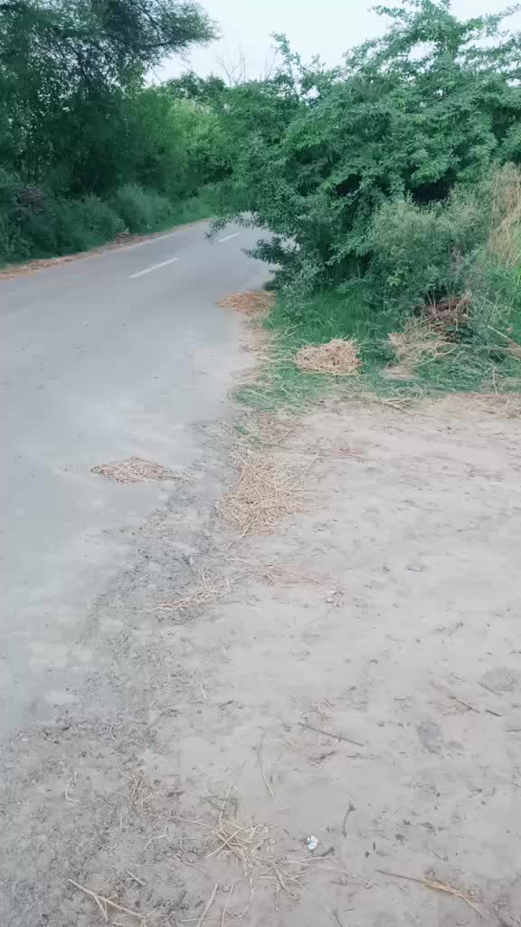 @vikas Gahlawat 500