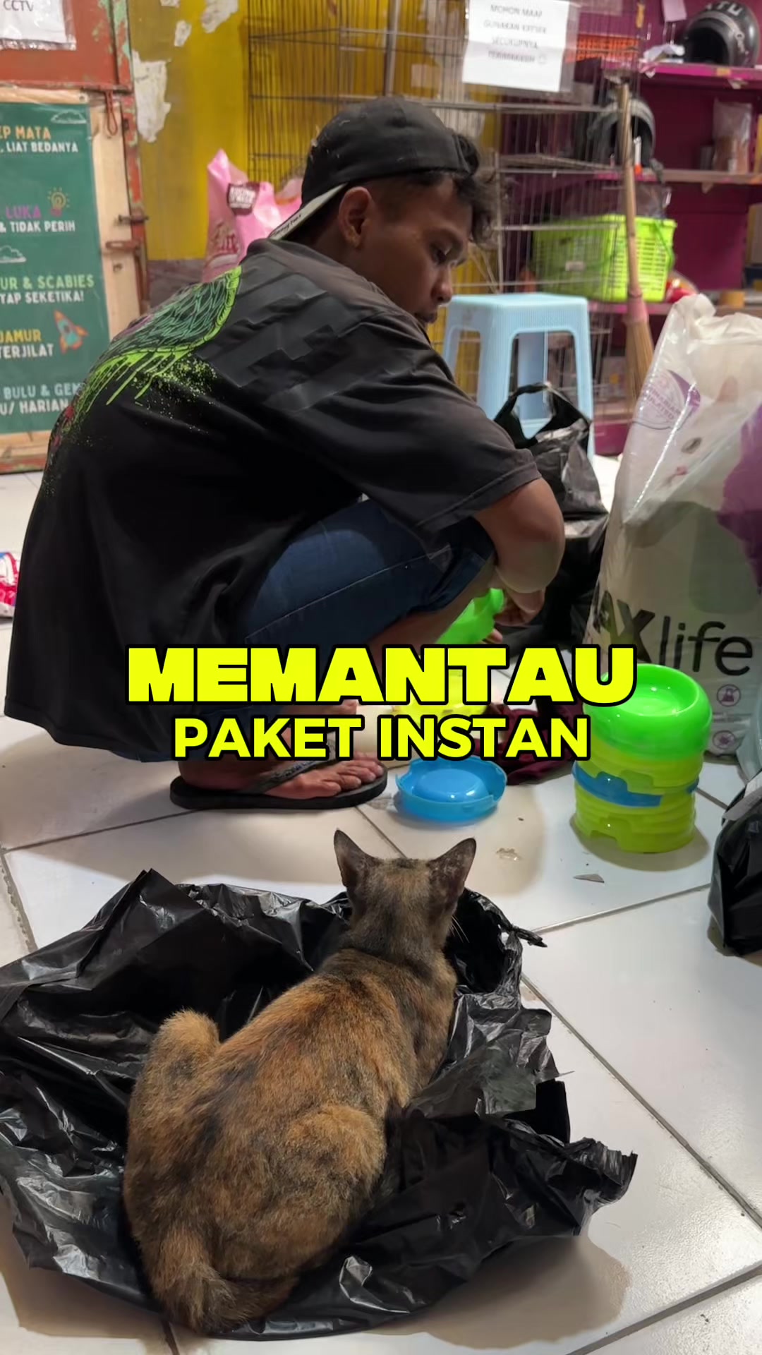 @bejo petmart