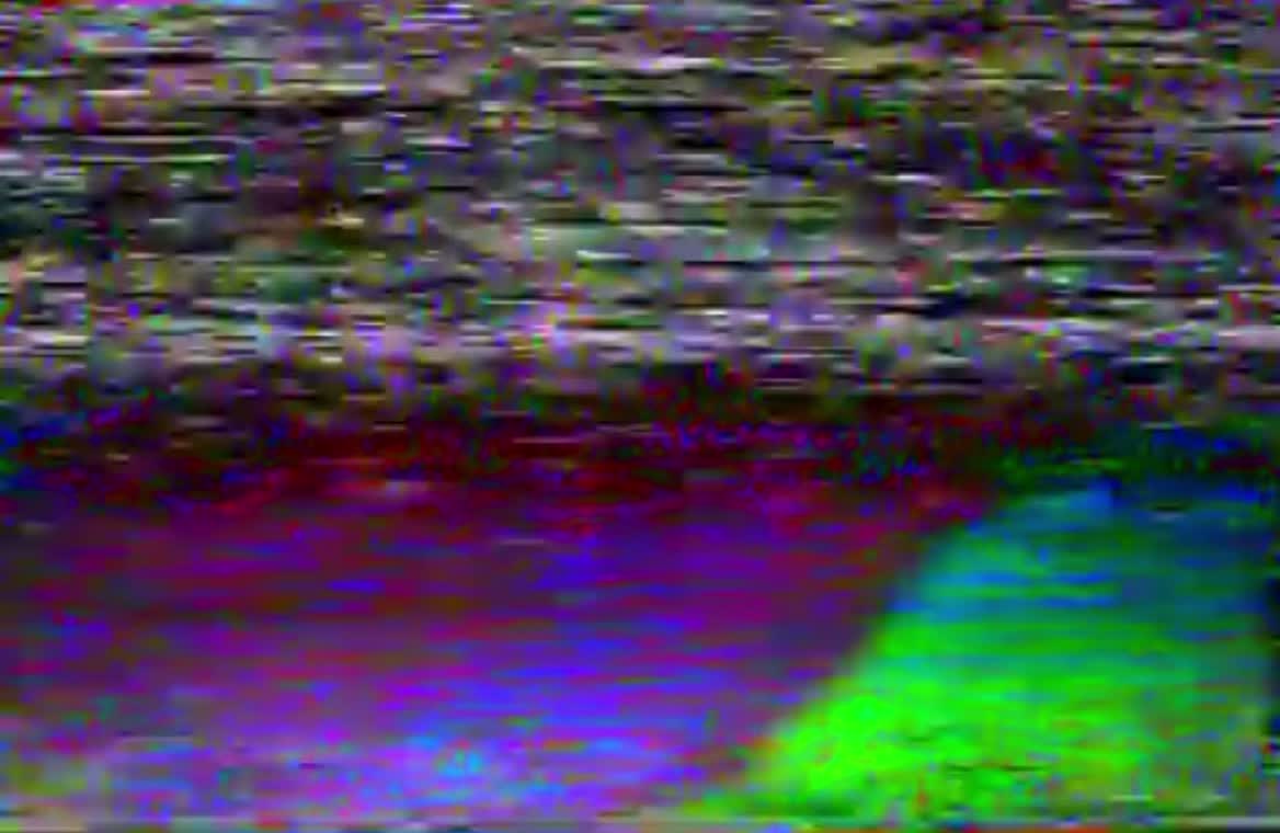 @🫧🪼DyLaX🪼🫧