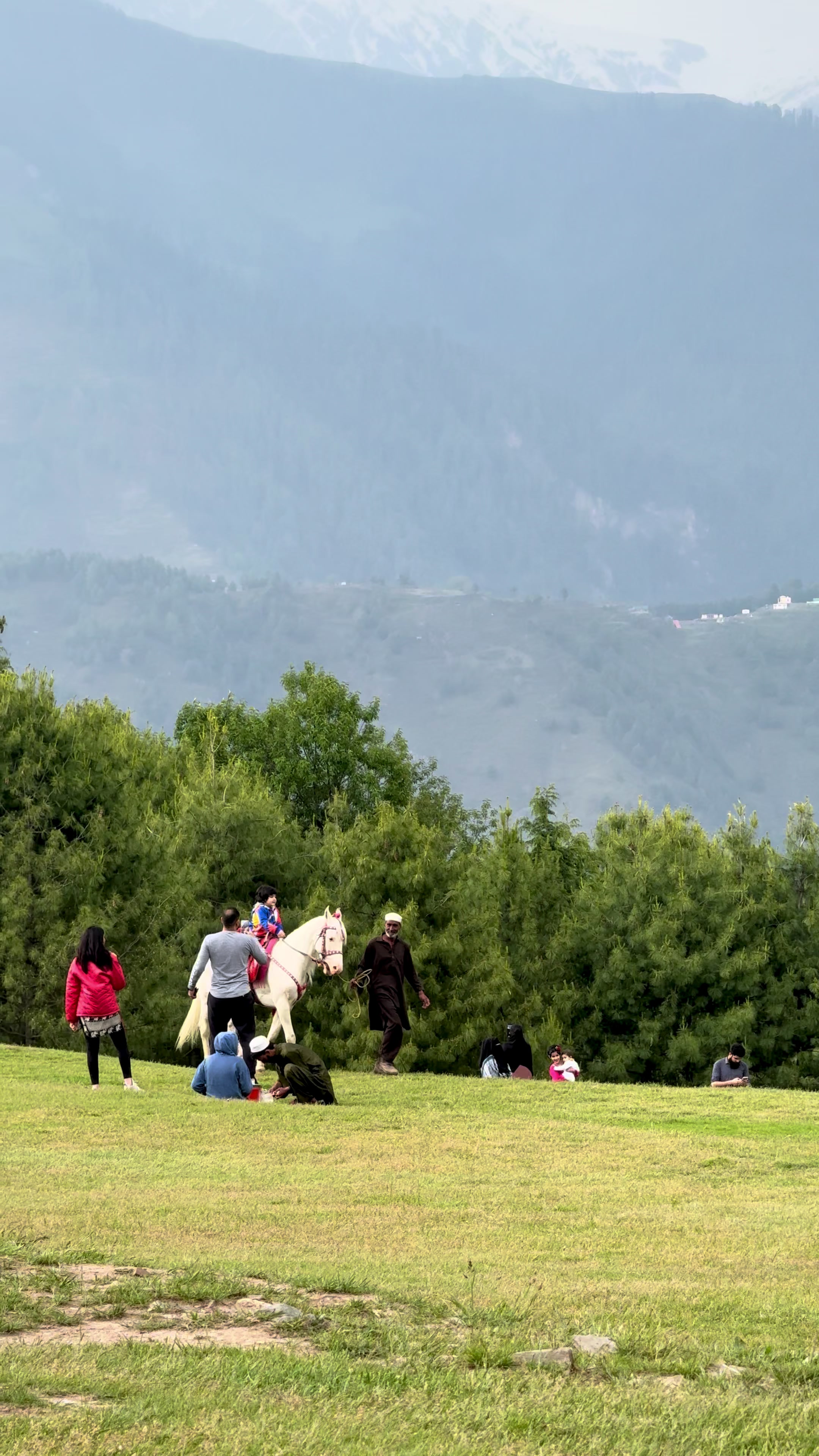 @Shogran Vibes