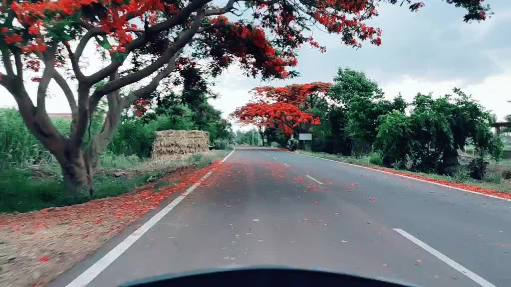 @Bhairu