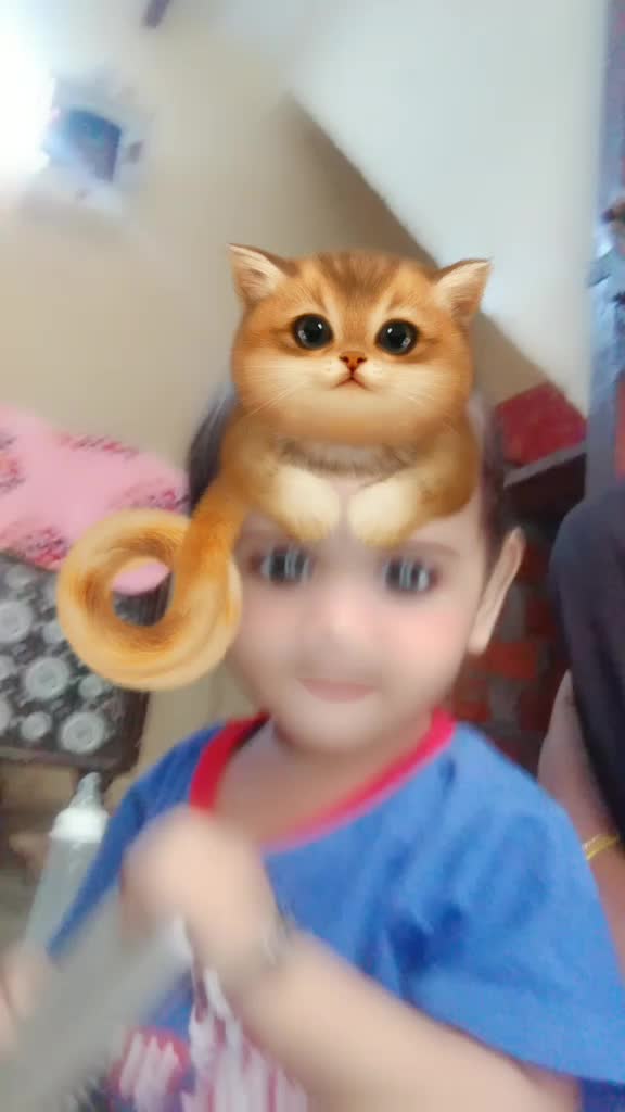 @Kuldeep Kumar