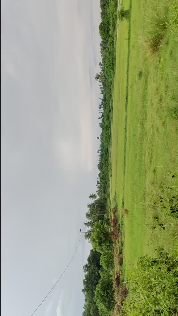 @vasurock