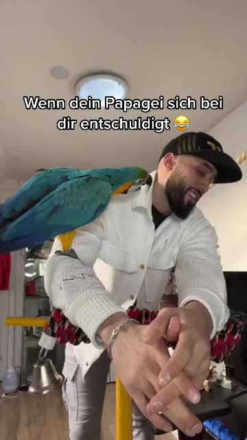 @Shankshaki