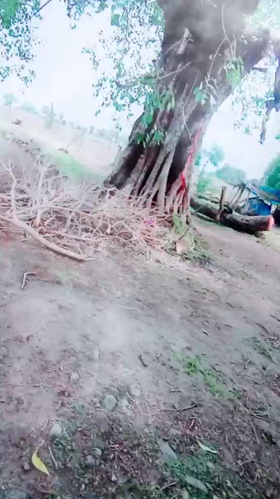 @👉. NeeRaj    मीणा