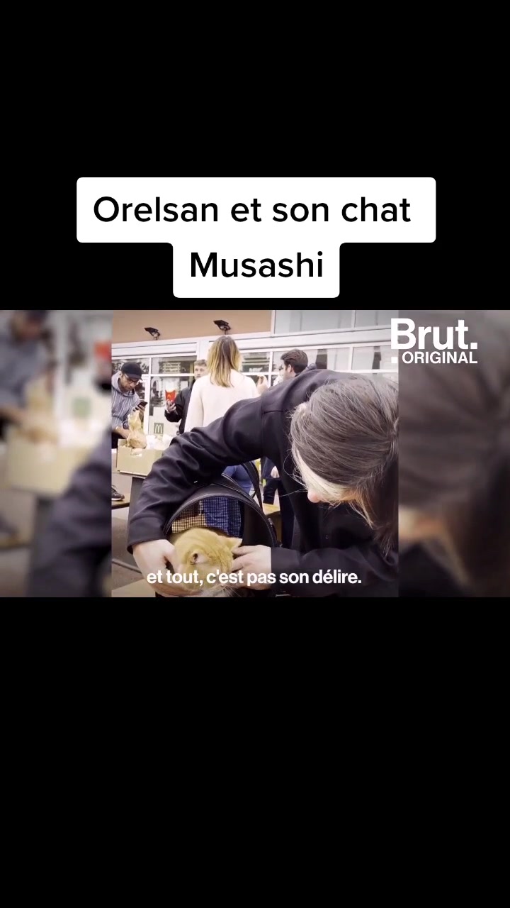 @Étash 🕸