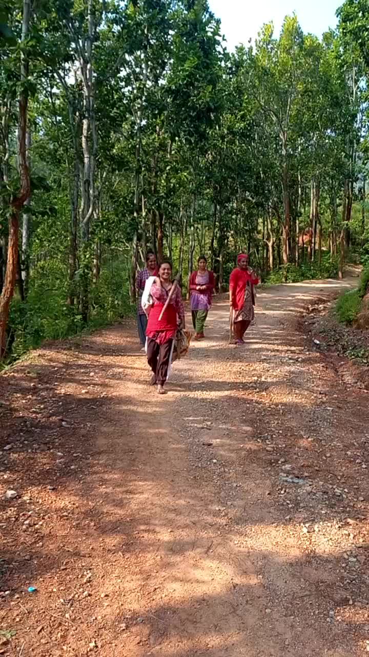 @Pandey Hari live Tm-6Am🇳🇵