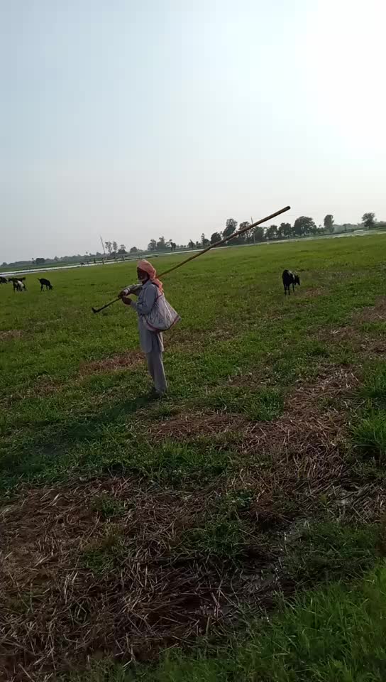 @Lovepreet Singh lavi
