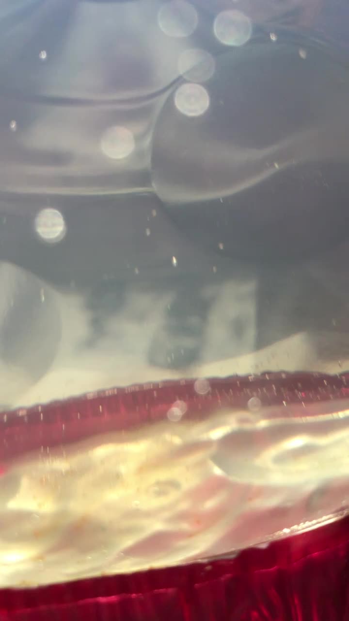 @sea monkeys