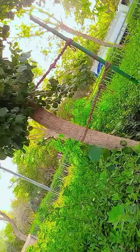 @rahmat 302
