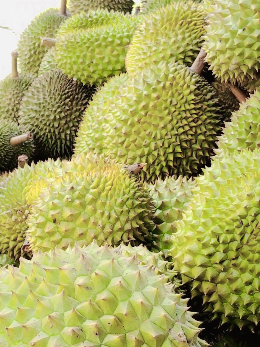 @L&ecirc; Ti&ecirc;n 63