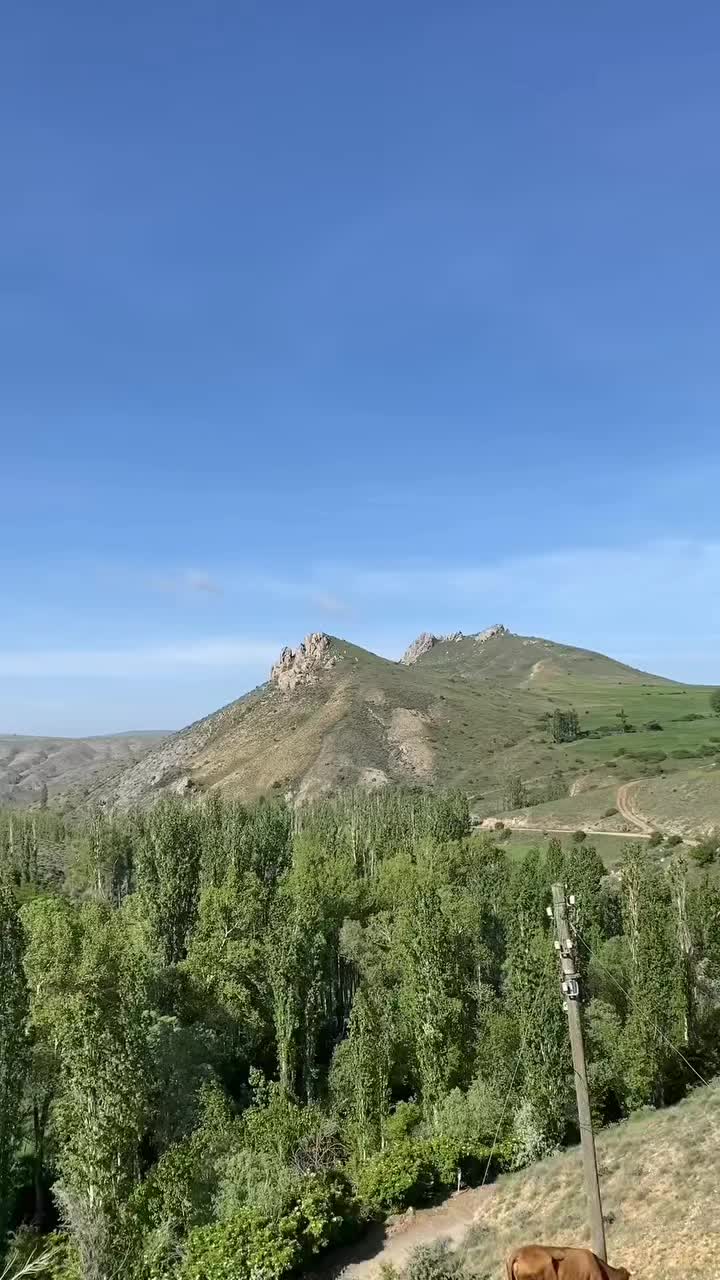 @kayserili
