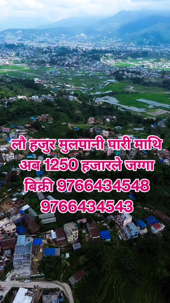 @Bikri Sewa