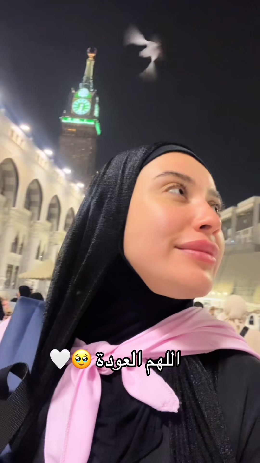 @Safaamarzouk123