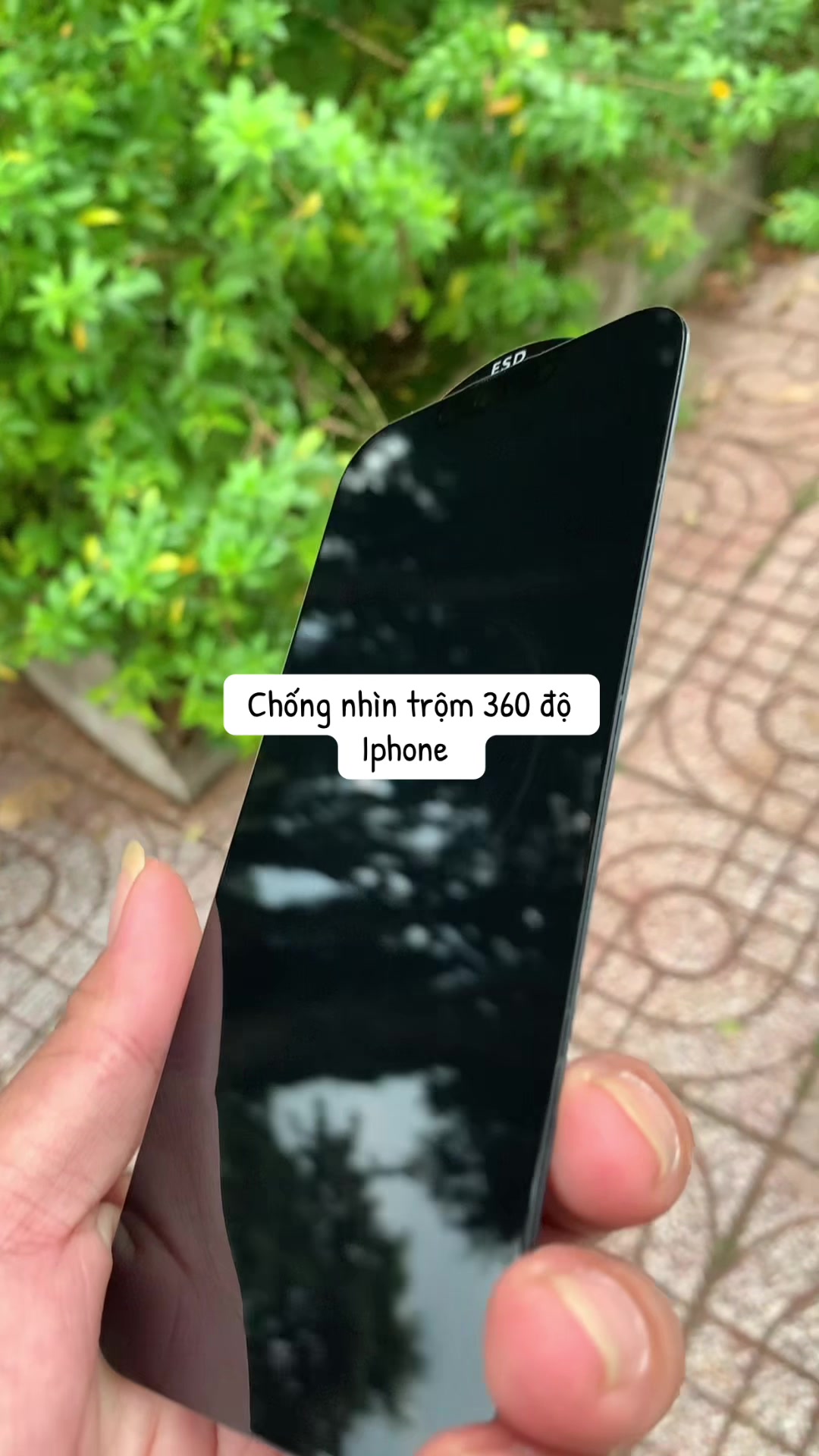 @nguyenvinh6666