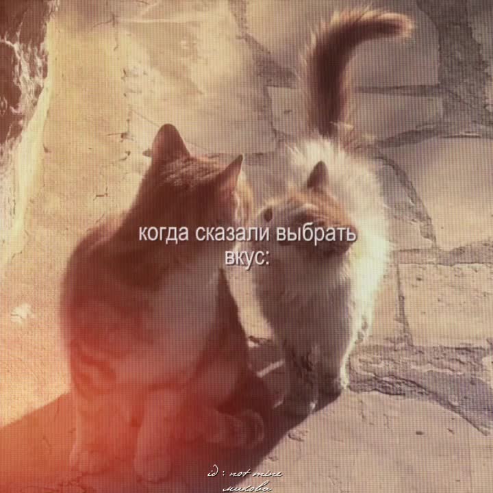 @ḿ&iuml;k&oslash;v&aring;