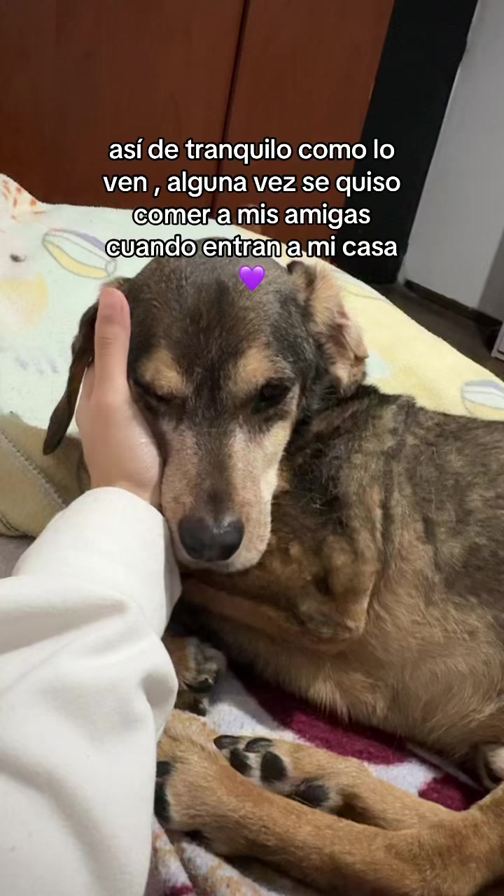 @Solcito