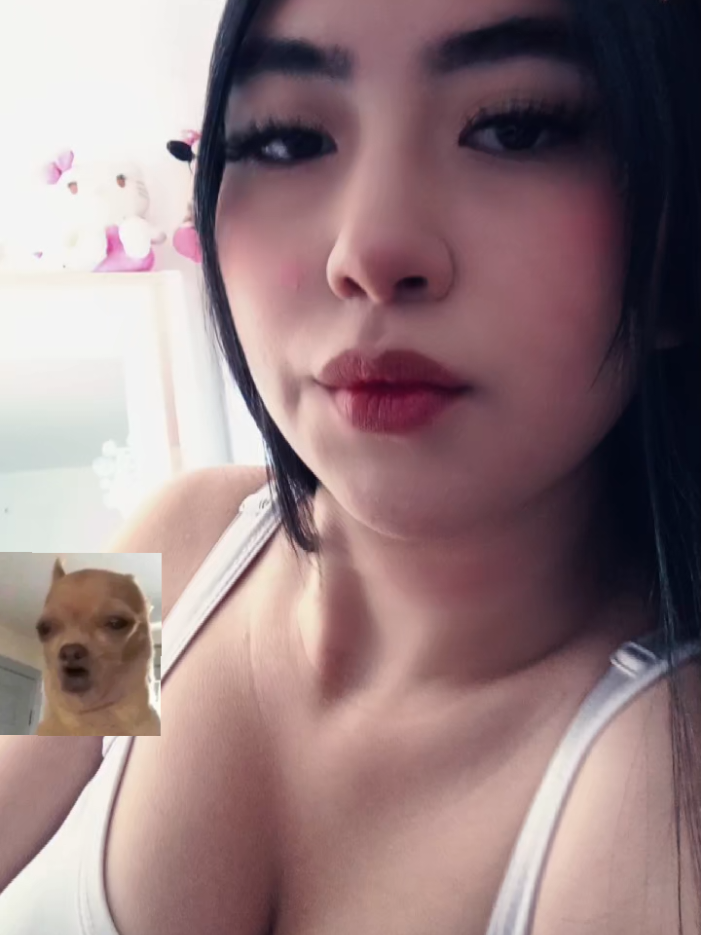 @๐ต๐๐๐๐ ๐ด๐๐๐