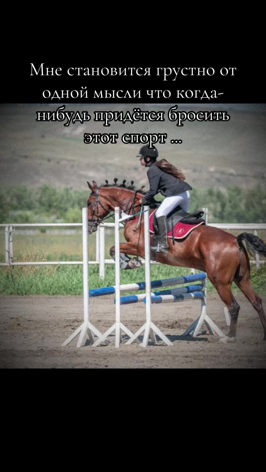@Муся это ты ?🦁