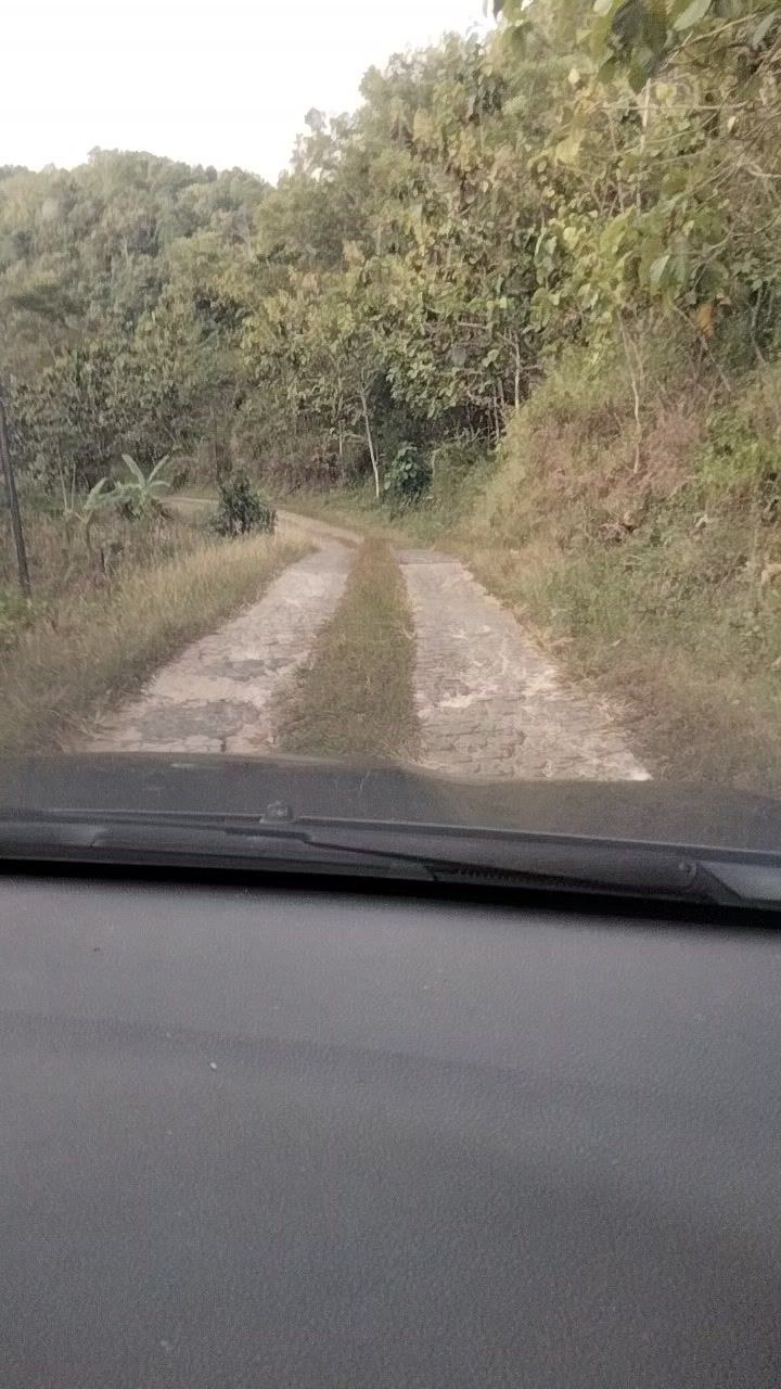 @bungnanto