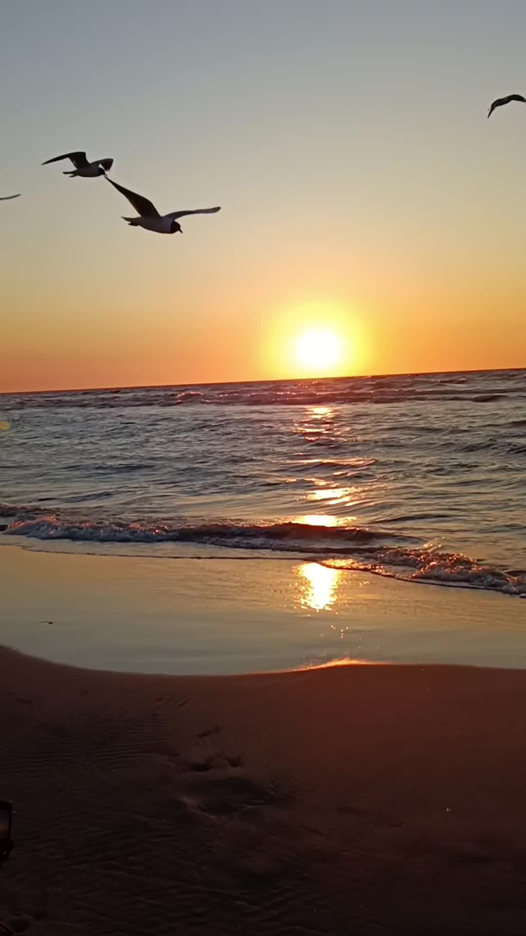 @🍀✨,,To nie ja byłam Ewą"✨🍀😉