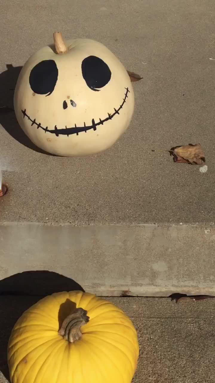 @iloveart𓆉