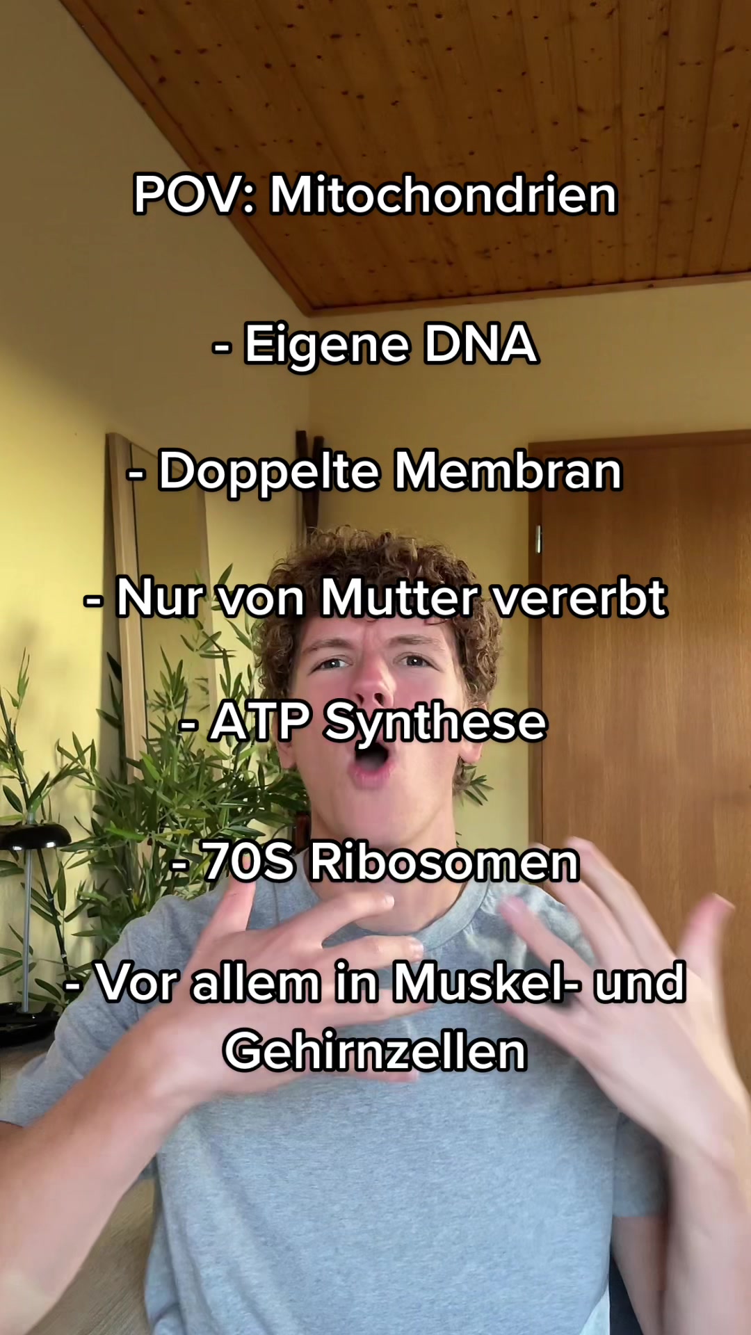 @maxenglisch