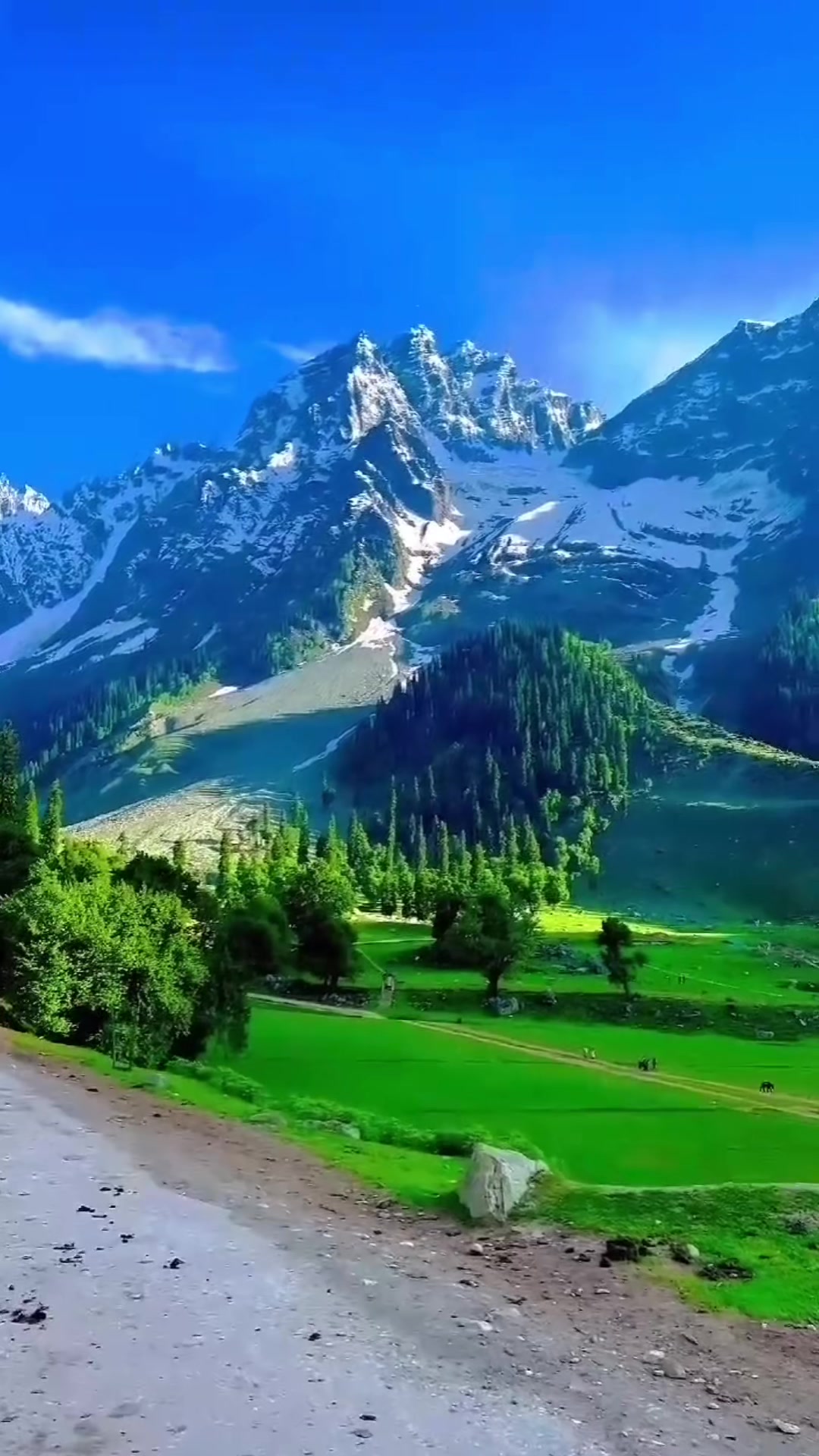@Dilruba Islam